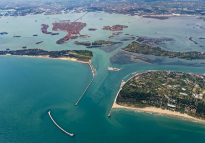 The Venetian Lagoon: A Living Mosaic of Flora and Fauna